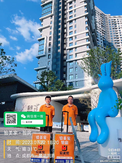 麓湖生态城玥港-精装验房