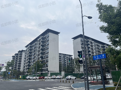 高投俊悦府-精装验房