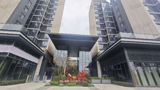 天投公园理想-清水验房