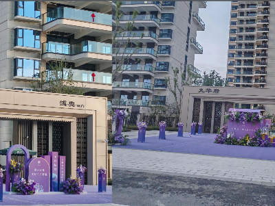 九华府-精装验房