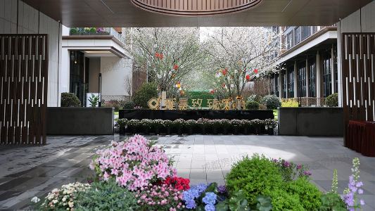 雍景致臻天府-精装验房