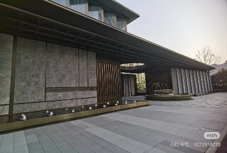 龙湖观辰-精装房
